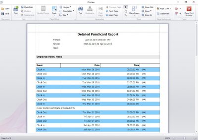 Detailed Punchcard Report Notes
