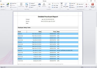 The Detailed Punchcard Report