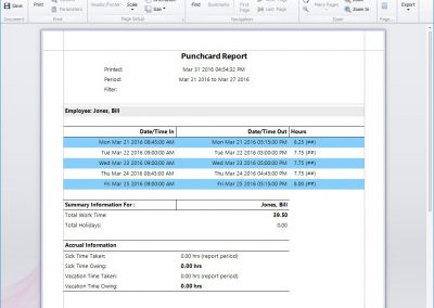 Punchcard Report